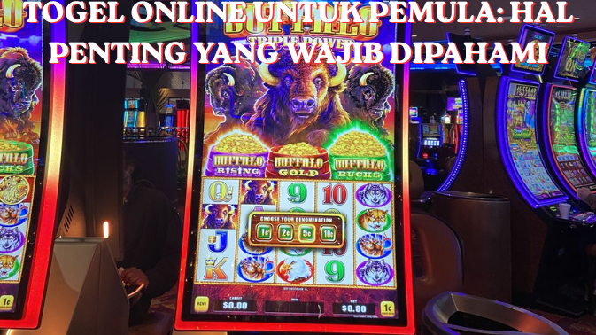 Togel Online untuk Pemula: Hal Penting yang Wajib Dipahami